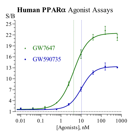 Human Peroxisome Proliferator-Activated Receptor Alpha agonist