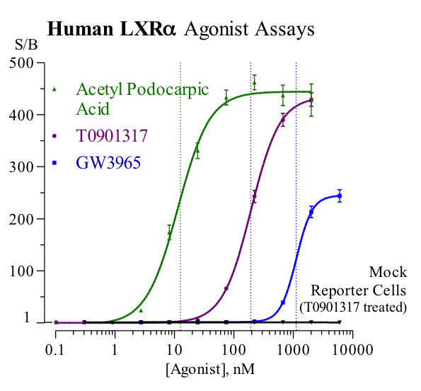 Liver X Receptor Alpha Agonist