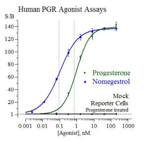 Progesterone Receptor agonist assay