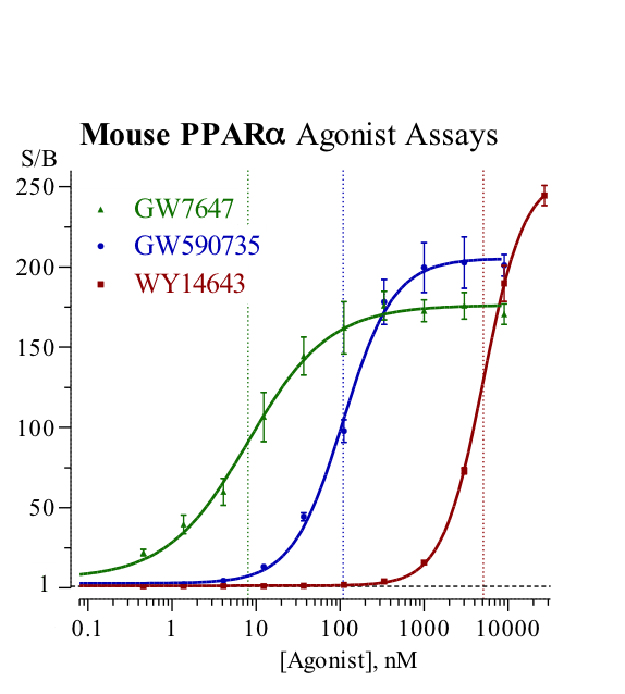 Mouse Peroxisome Proliferator-Activated Receptor Alpha agonist