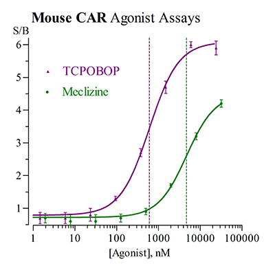 Mouse Constitutive Androstane Receptor data