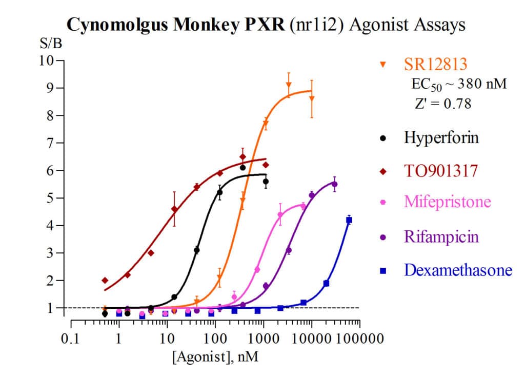 cyn monkey Pregnane X Receptor-graphic