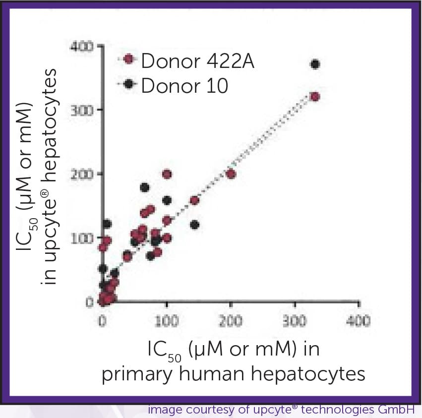 upcyte hepatocytes v primary human hepatocytes