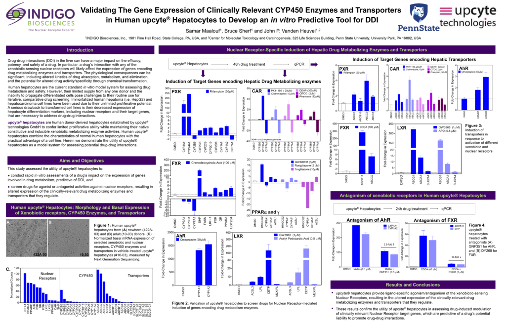 Poster Validating the Gene Expression of Clinically Relevant CYP450 Enzymes and Transporters in Human upcyte® Hepatocytes to Develop an In Vitro Predictive Tool for DDI