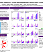 Regulation of Steatosis in upcyte cells by NR agonists poster