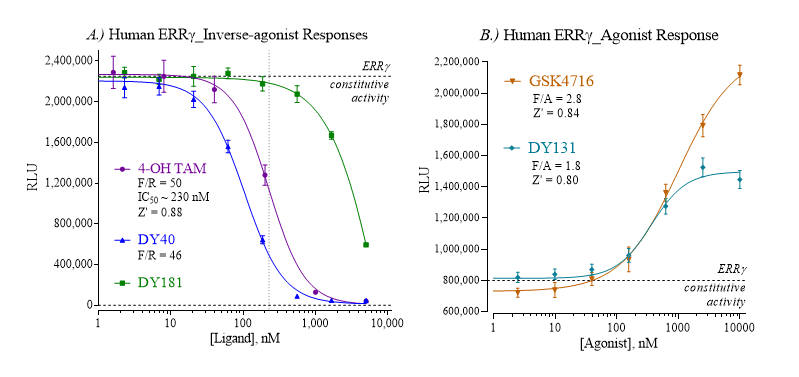Estrogen-related Receptor Gamma Agonist and Inverse-Agonist