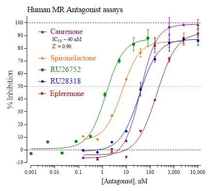 Mineralocorticoid Receptor antagonist