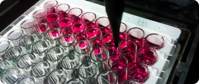 elisa-enzyme-linked-immunosorbent-assay-plate (1)
