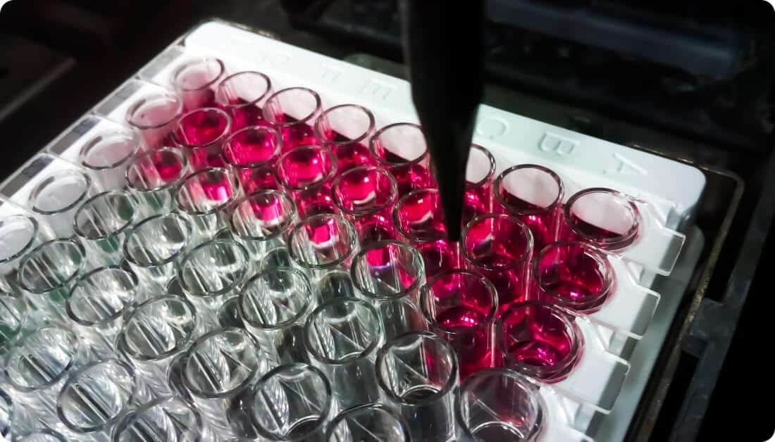 elisa-enzyme-linked-immunosorbent-assay-plate
