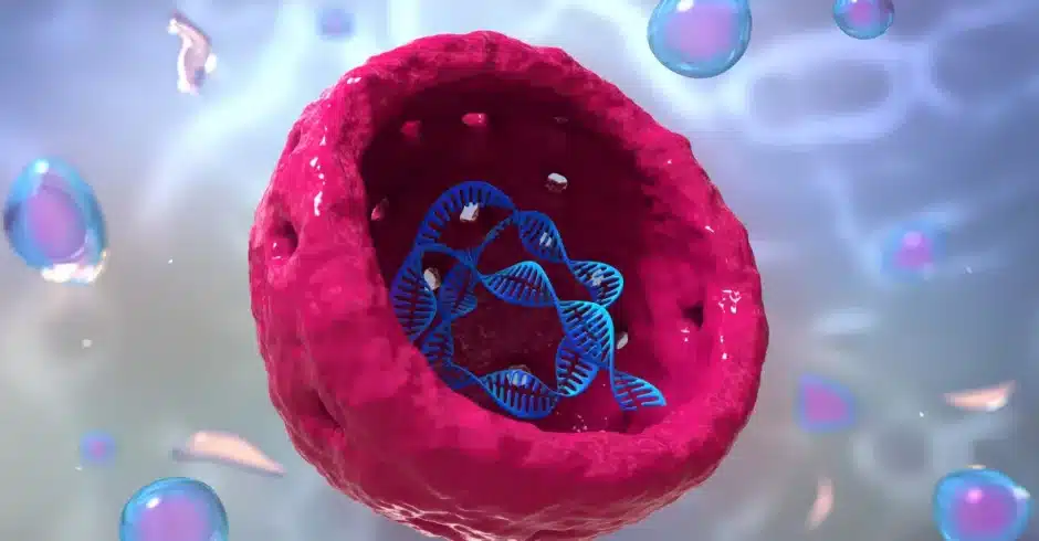 SLU PP 332 Capsules Molecular Structure and Classification | Shaanxi BLOOM Tech Co., Ltd SLU PP 332 Capsules Molecular Structure and Classification | Shaanxi BLOOM Tech Co., Ltd