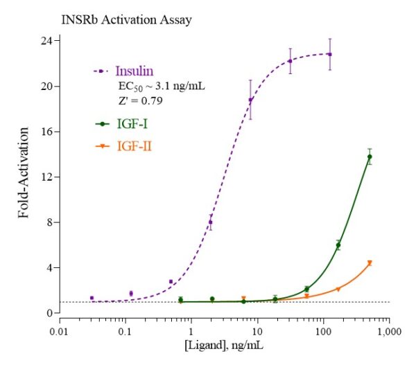 INSRb Human Activation Graph