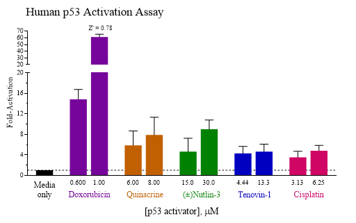 Bar graph showing the activation of p53 in indigo biosciences assay