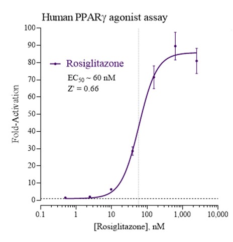 PPARg Human Agonist Graph