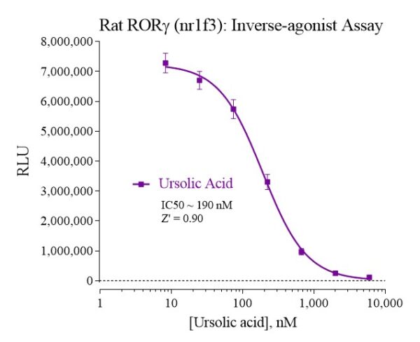 Rat RORγ Reporter Assay Kit - Indigo Biosciences