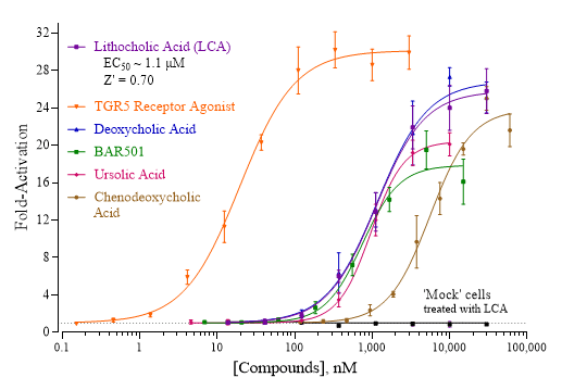 Line graph of Indigo Bioscience's cell-based luciferase reporter assay for the Human G Protein-Coupled Bile Acid Receptor 1