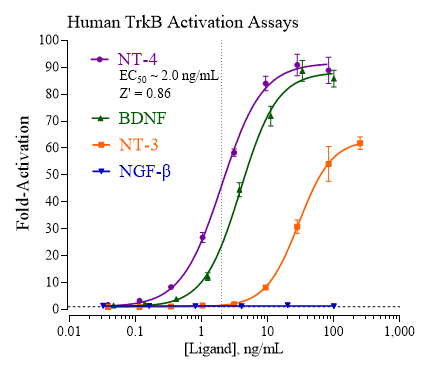 TrkB-Activation-dose-response-assay