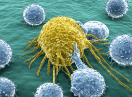 3d image of immune cells interacting together