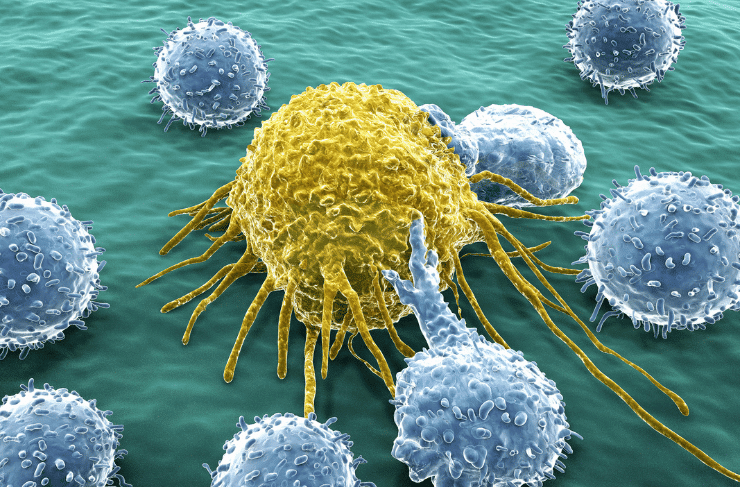 3d image of immune cells interacting together