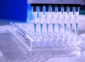 multi-channel pipette dispensing into assay plate.
