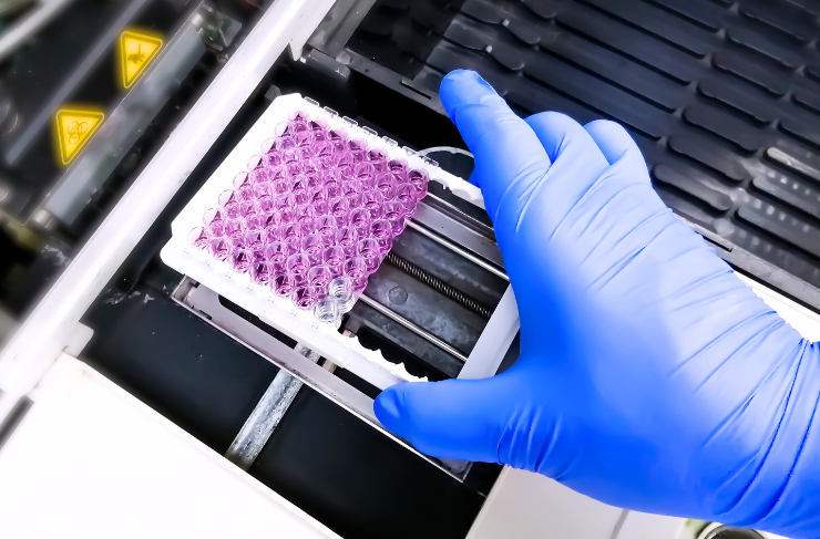 Drug Transporter Services