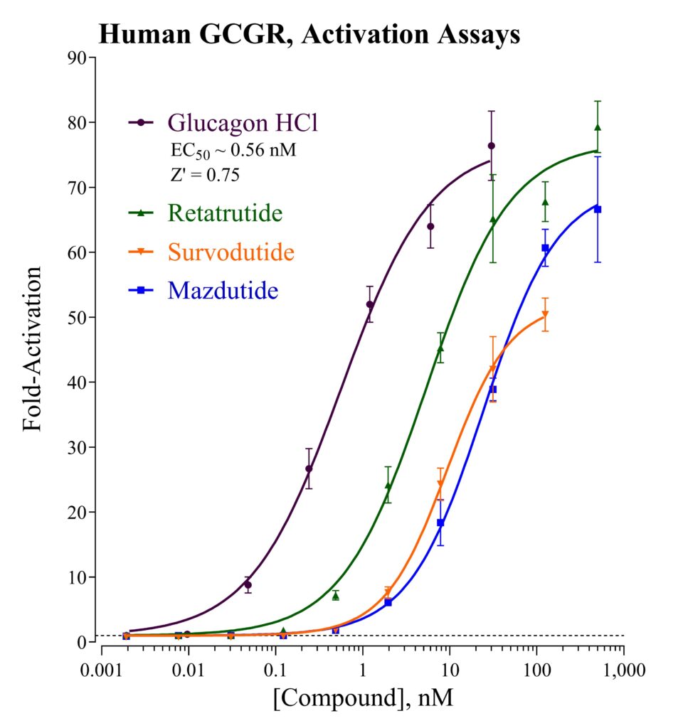 Activation graph of the Glucagon Receptor assay
