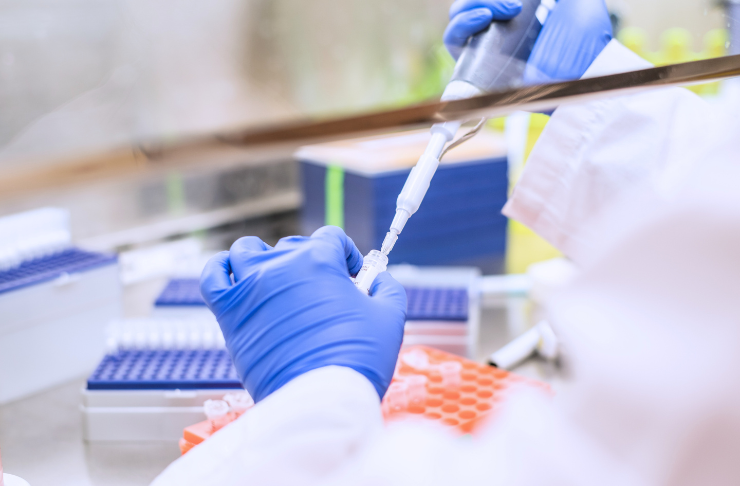 Nuclear receptor profiling website image
