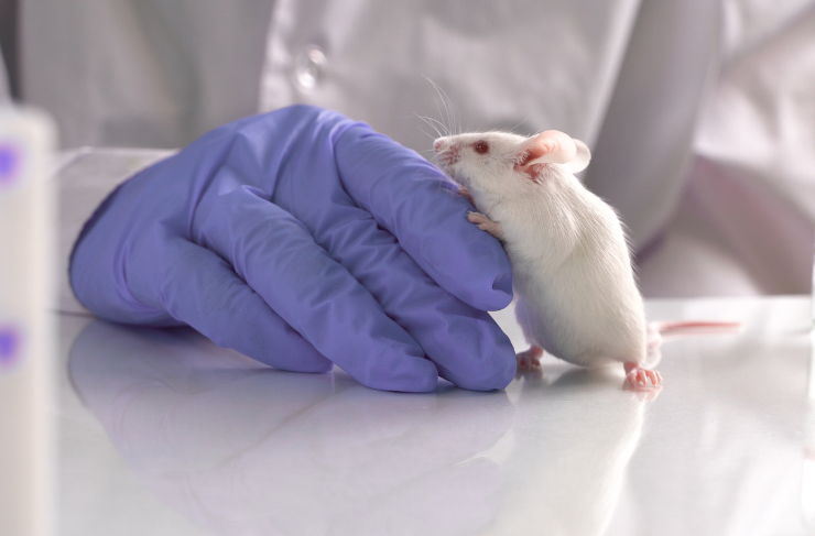 Alt Species Profiling Services