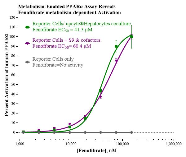hPPARa-Percent activation-Fenofibrate